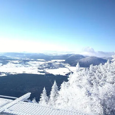 Coeur De Volcan Saint-Genès-Champanelle Buitenkant foto