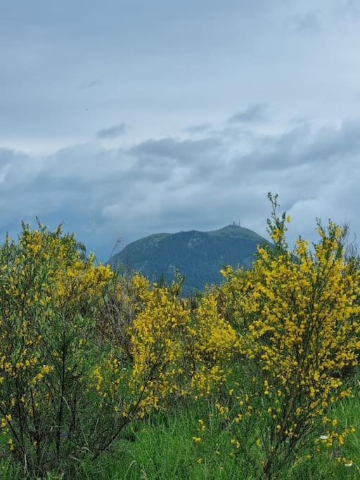 Coeur De Volcan Saint-Genès-Champanelle