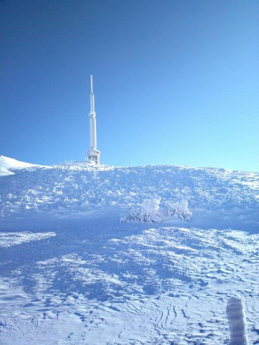 Coeur De Volcan Ferienhaus *